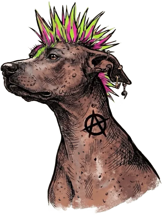 Punk dog barking
